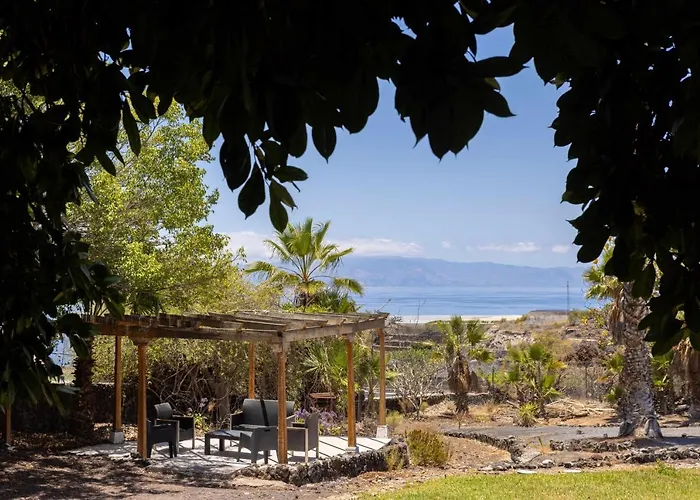 Flores Acantilado de los Gigantes